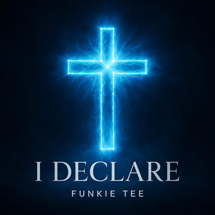 I Declare cover
